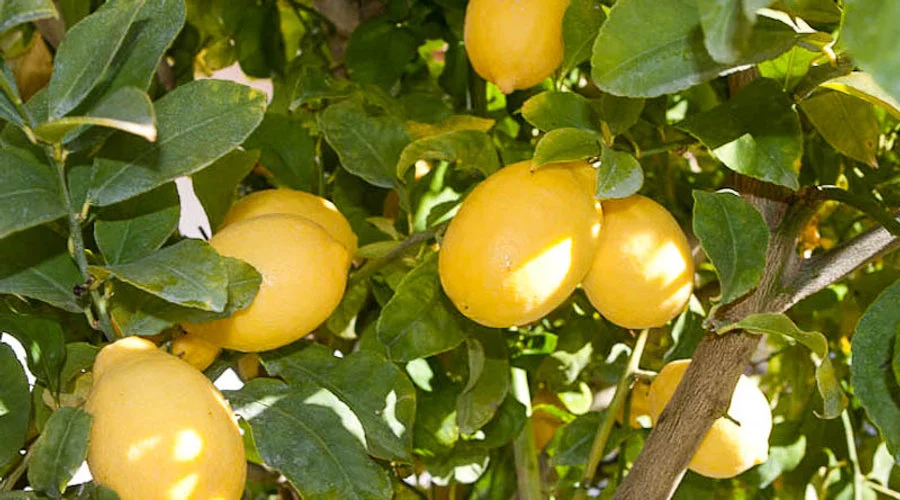 Kraanwater bij El Molino del Conde in Andalusië